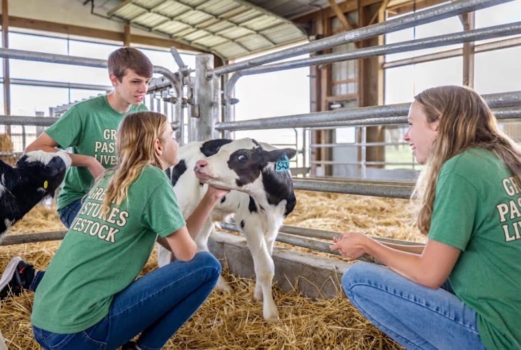 Animal care standards